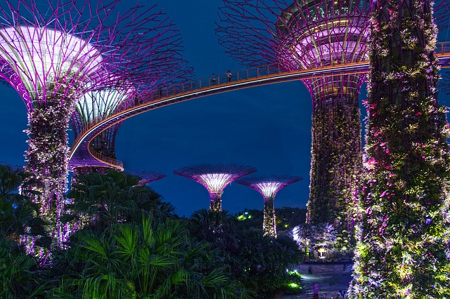 bohatstvo Singapuru.jpg